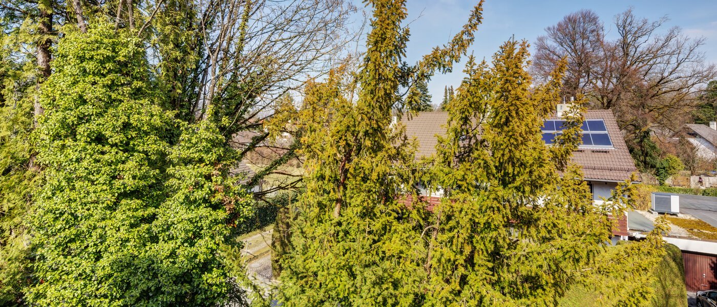 マンション München Solln 03 物件からの眺め 2378