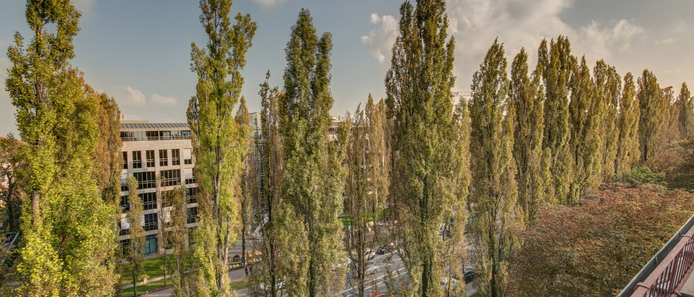 マンション München Schwabing (rechts der Leopoldstraße) 01 物件からの眺め 2486