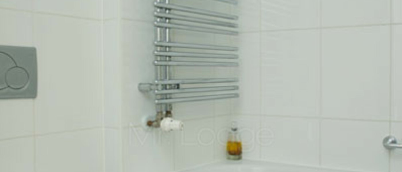 マンション München Trudering 04 浴室 2988