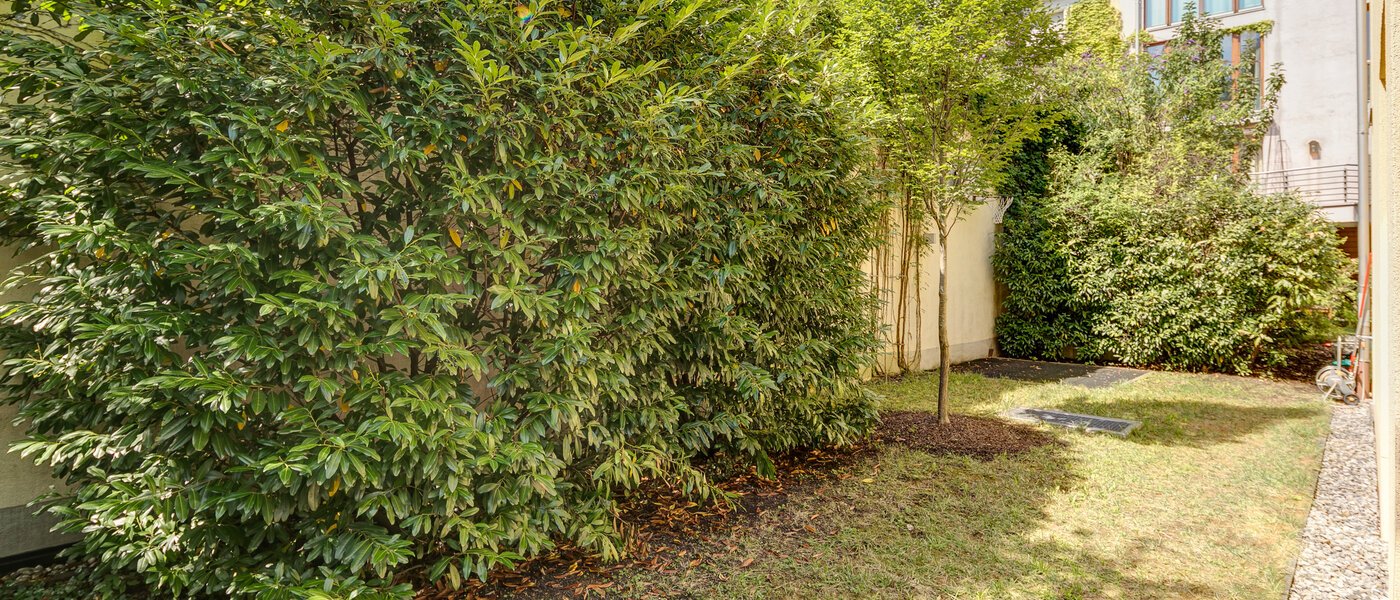 セミ・デタッチド・ハウス（一戸建てを二つに分けた家屋） München Schwabing (links der Leopoldstraße) 02 庭 3396