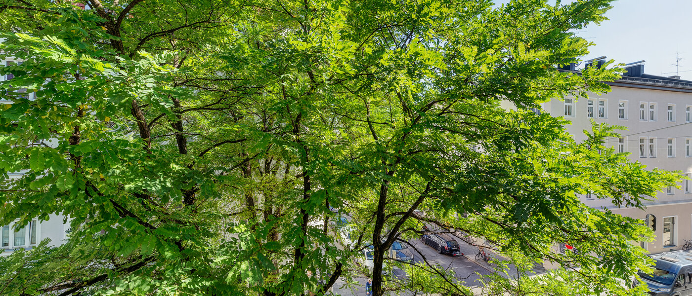 マンション München Maxvorstadt - Universitätsviertel 01 物件からの眺め 3592