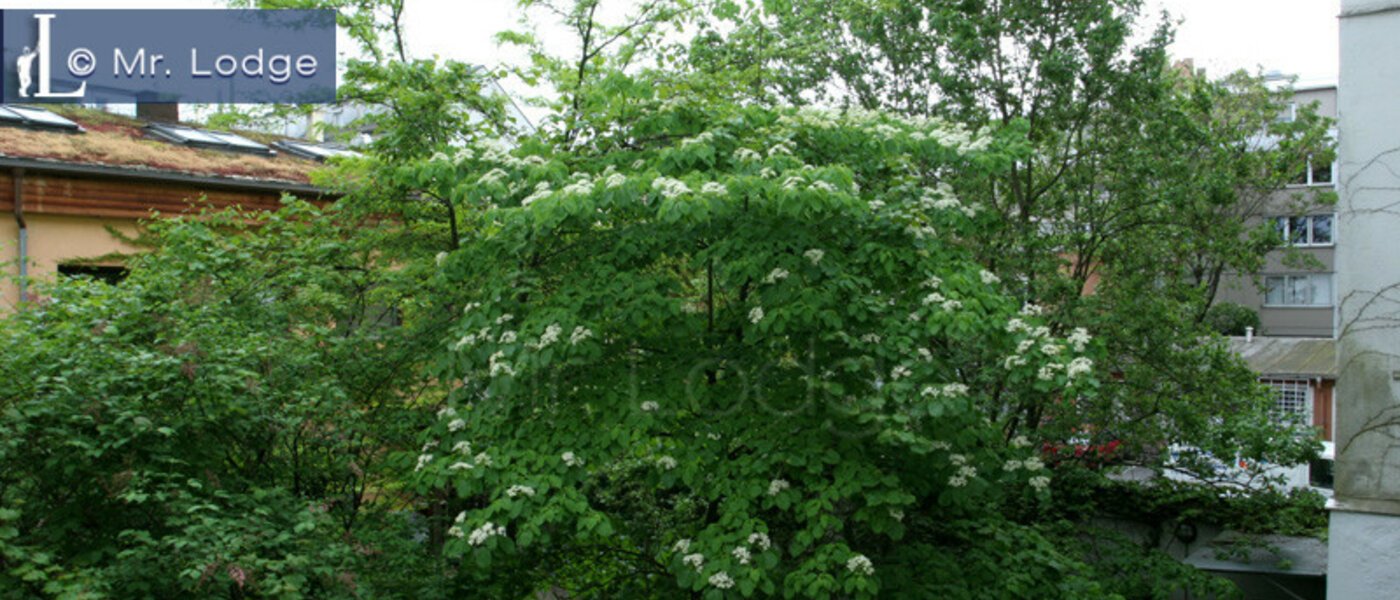 マンション München Maxvorstadt - Museumsviertel 05 物件からの眺め 3843