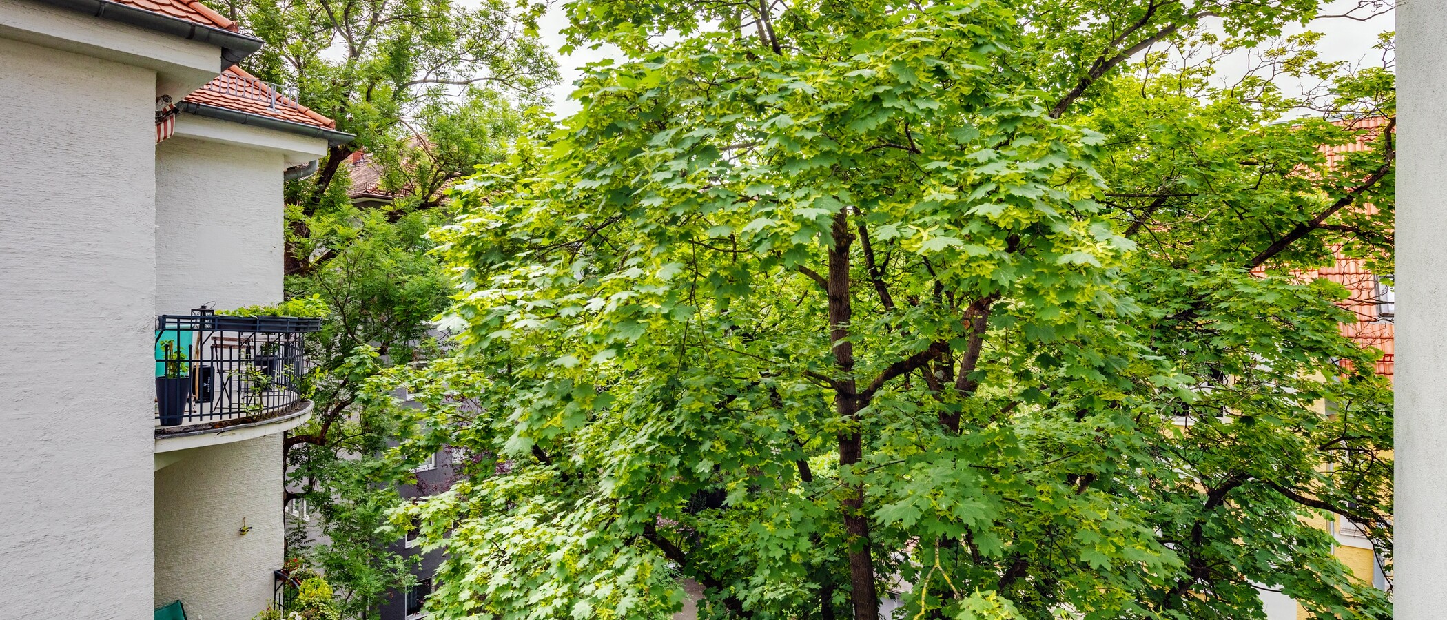 アパルトマン München Schwabing-West (rund um den Hohenzollernplatz) 02 物件からの眺め 4086
