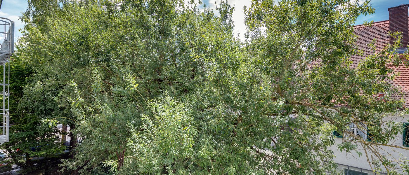 マンション München Giesing 02 物件からの眺め 4372