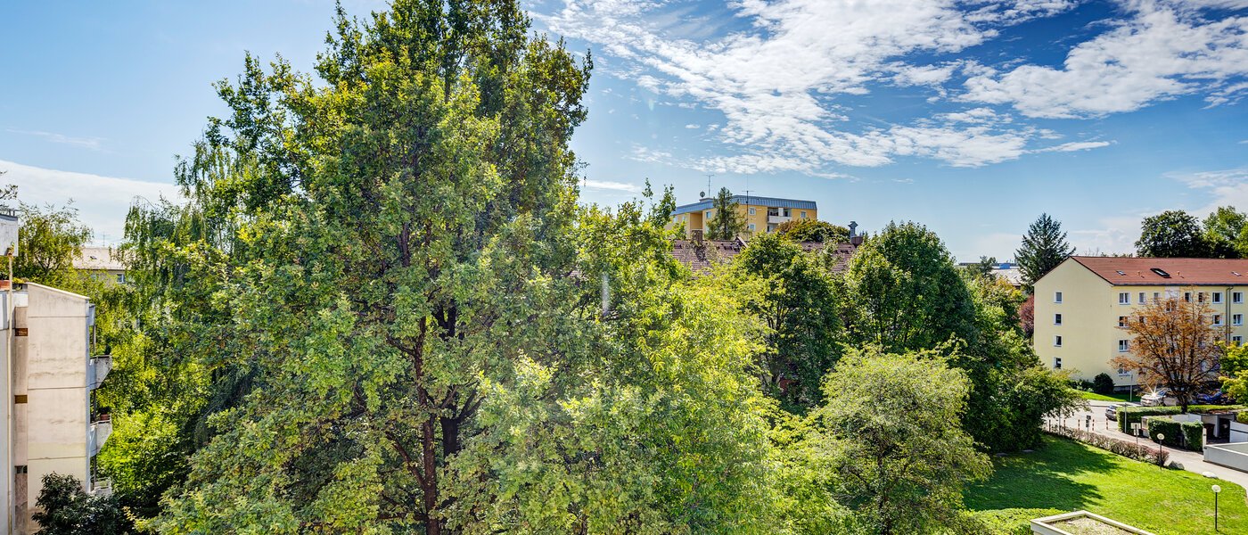 マンション München Sendling-Westpark 01 物件からの眺め 4419