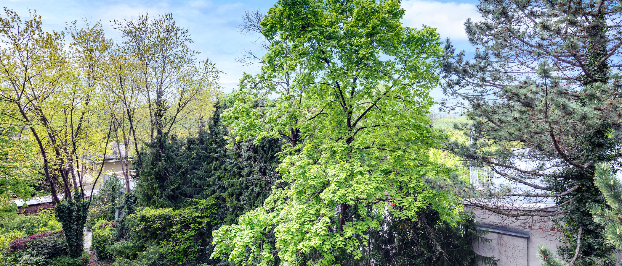 マンション München Schwabing-Nord (zw. Leopoldstraße & Englischen Garten) 01 物件からの眺め 4452