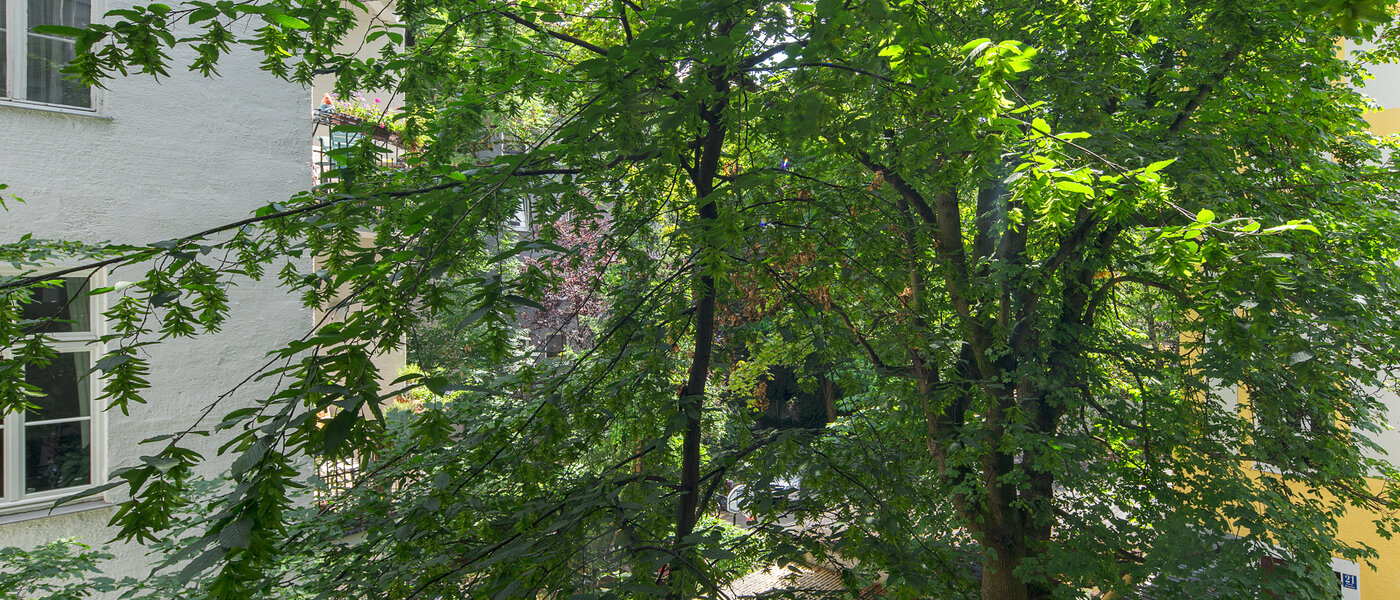 マンション München Schwabing-West (rund um den Hohenzollernplatz) 02 物件からの眺め 4507