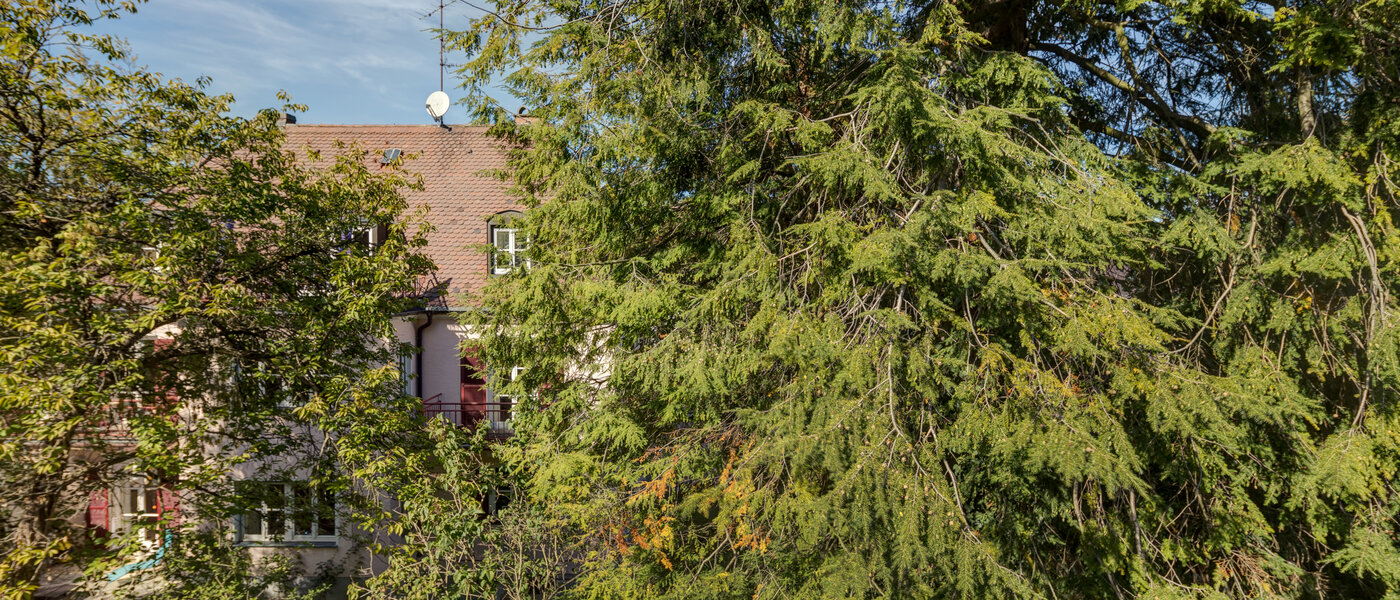 マンション München Nymphenburg-Gern 02 物件からの眺め 4670