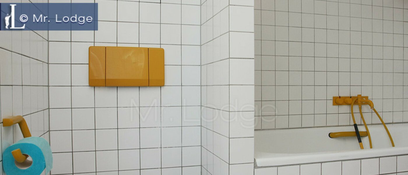 アティック・フラット（屋根裏） München Maxvorstadt - Rund um den Josephplatz 03 浴室 4768