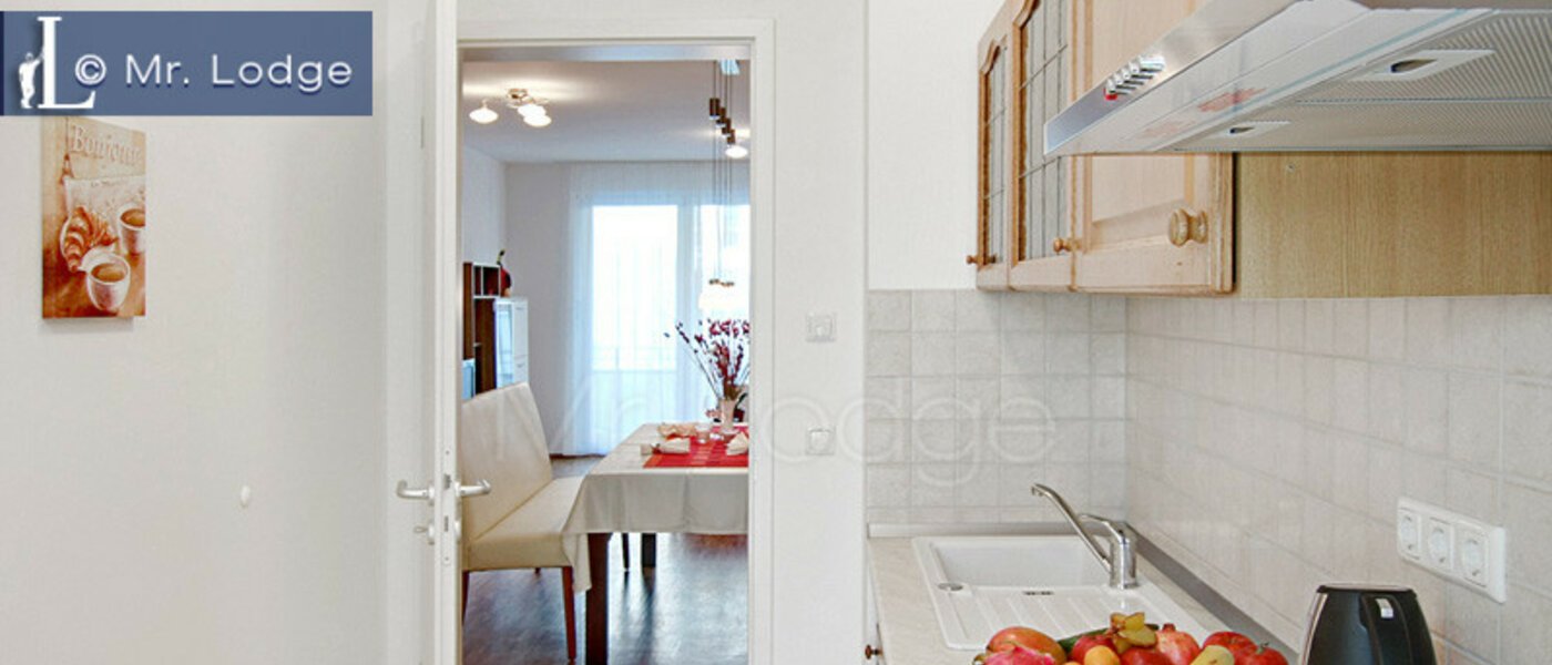 マンション München Maxvorstadt - Westen 02 キッチン 4883