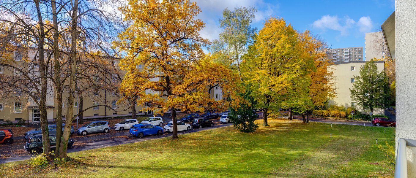 マンション München Bogenhausen 01 物件からの眺め 4956