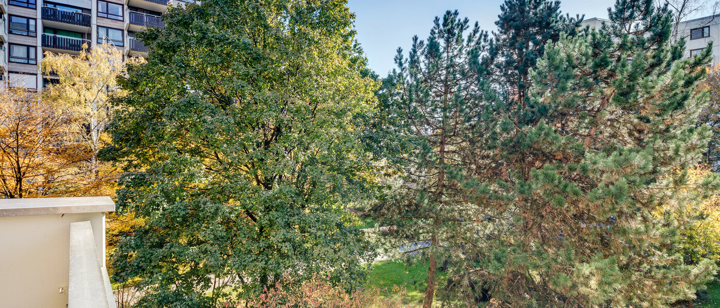 マンション München Haidhausen 02 物件からの眺め 5180