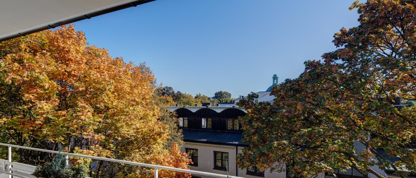 マンション München Schwabing (links der Leopoldstraße) 01 物件からの眺め 5263