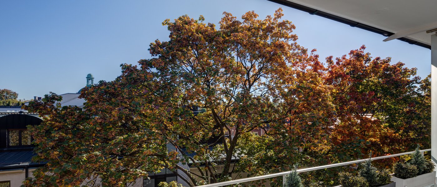 マンション München Schwabing (links der Leopoldstraße) 02 物件からの眺め 5263