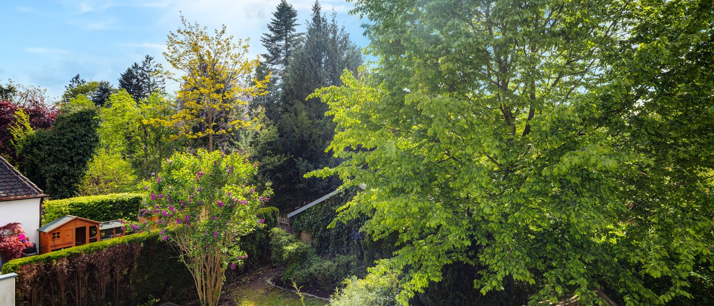 テラスハウス München Westpark 01 物件からの眺め 5296