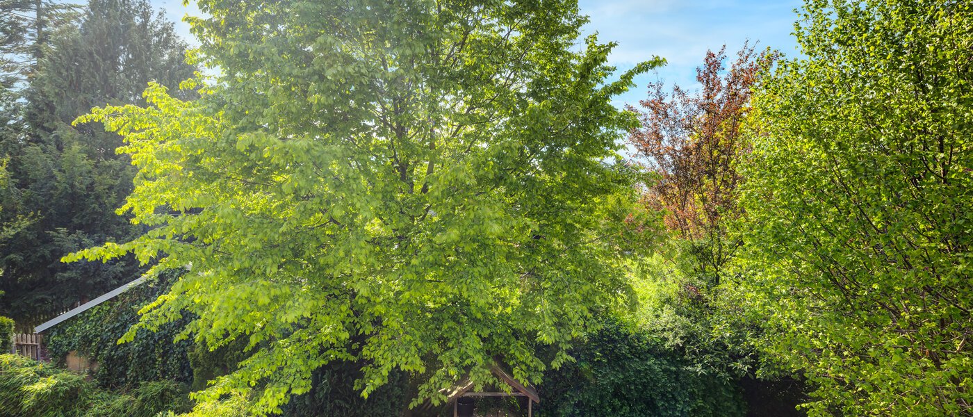 テラスハウス München Westpark 02 物件からの眺め 5296