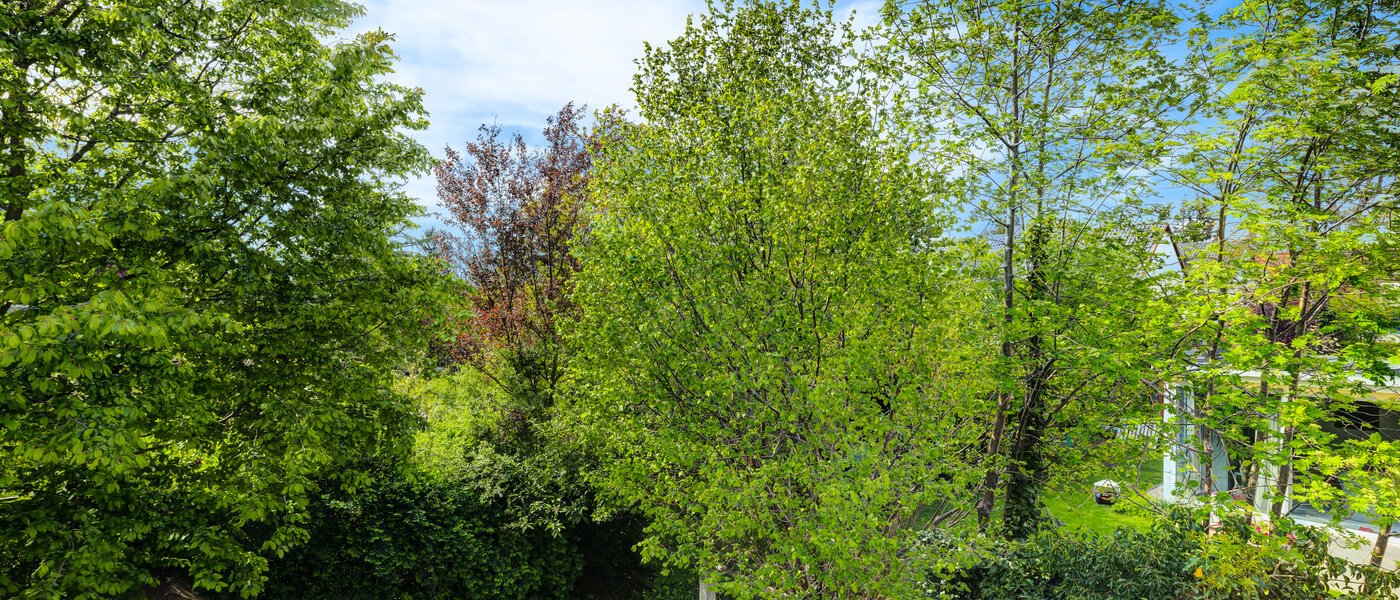 テラスハウス München Westpark 03 物件からの眺め 5296