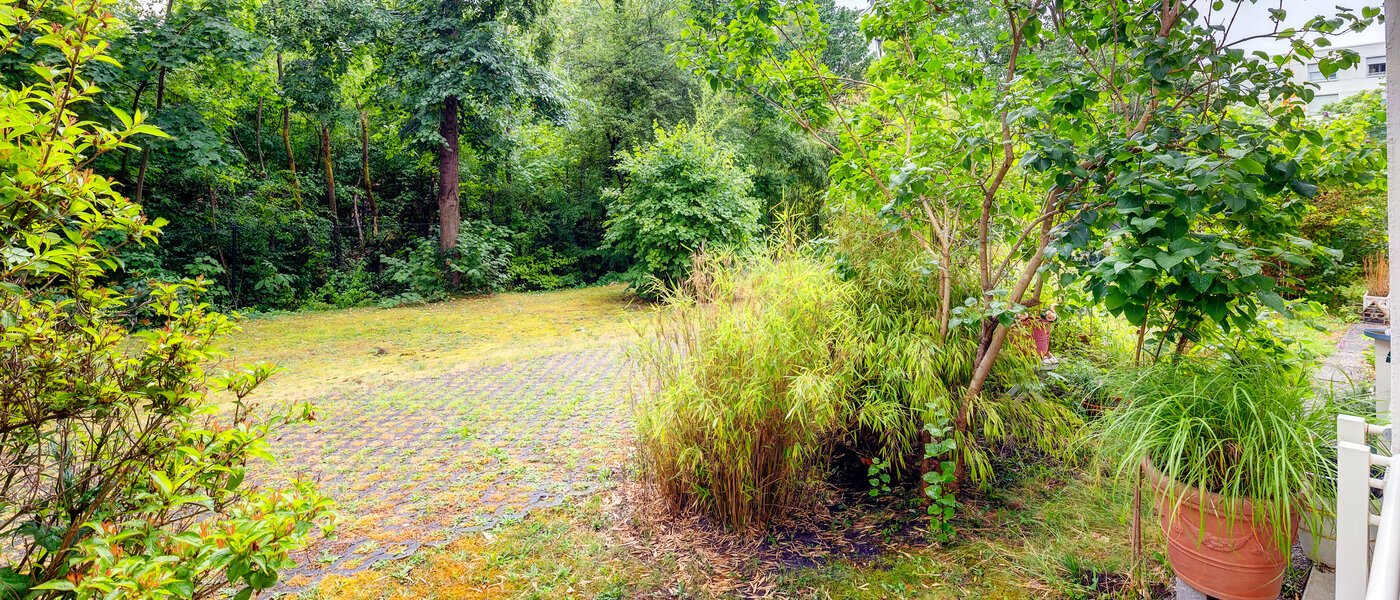 マンション München Schwabing-Nord (zw. Belgrad- & Leopoldstraße) 02 物件からの眺め 565