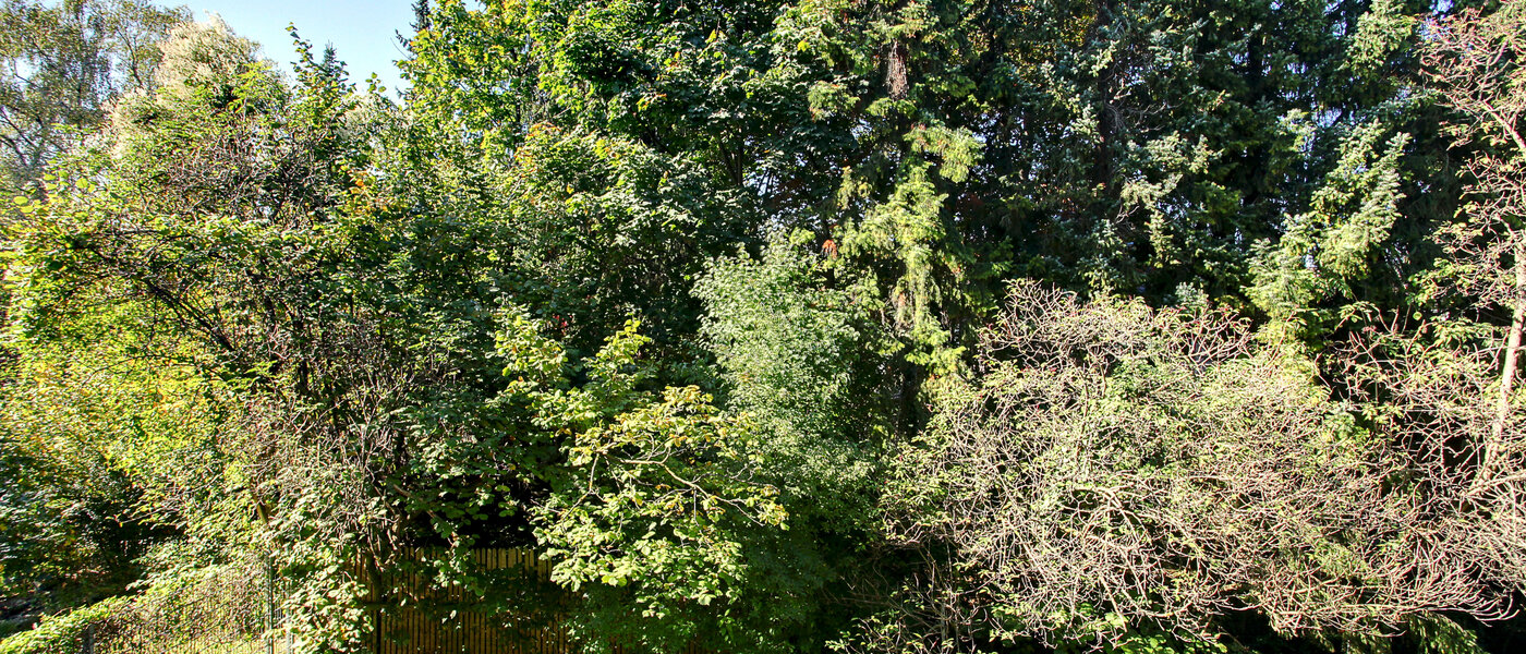 マンション München Schwabing 01 物件からの眺め 5794