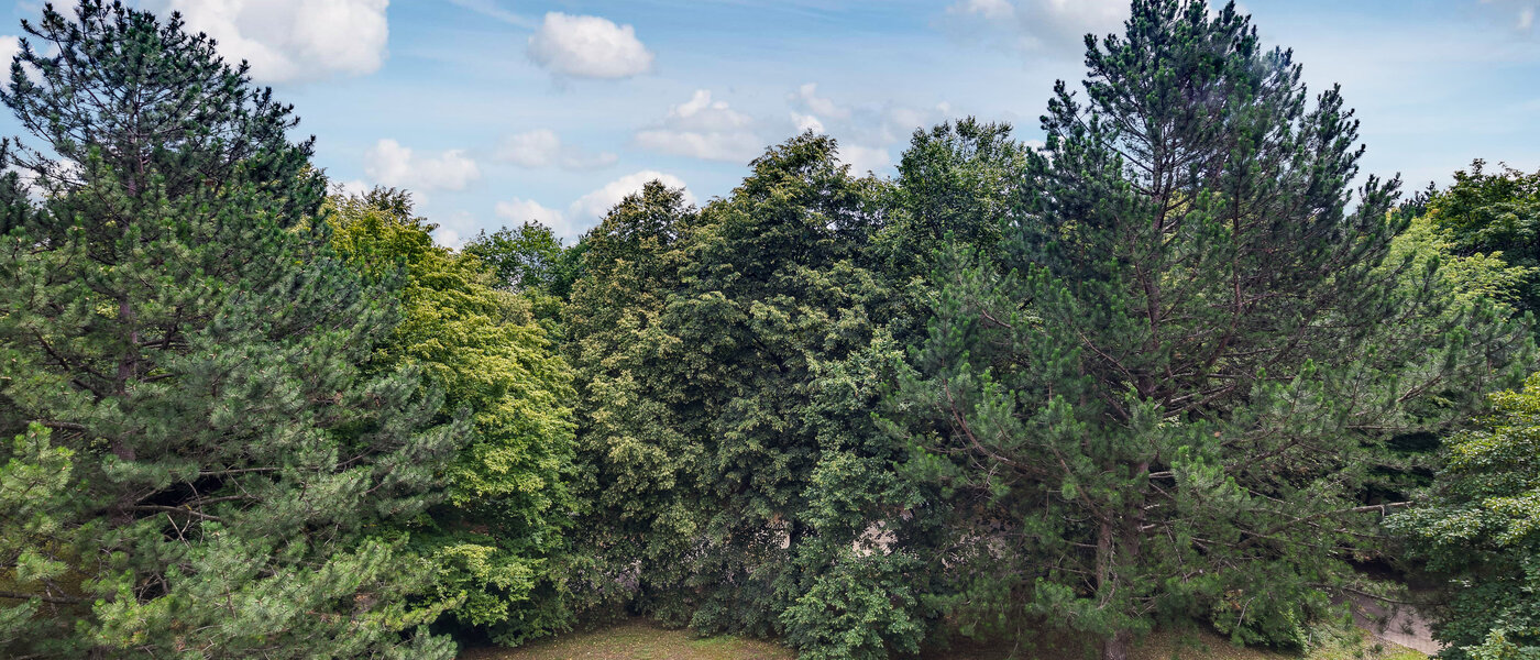 マンション München Moosach 01 物件からの眺め 5951