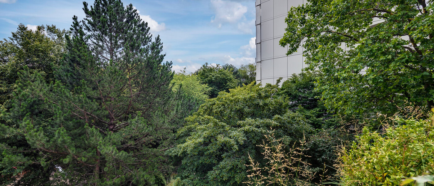 マンション München Moosach 03 物件からの眺め 5951