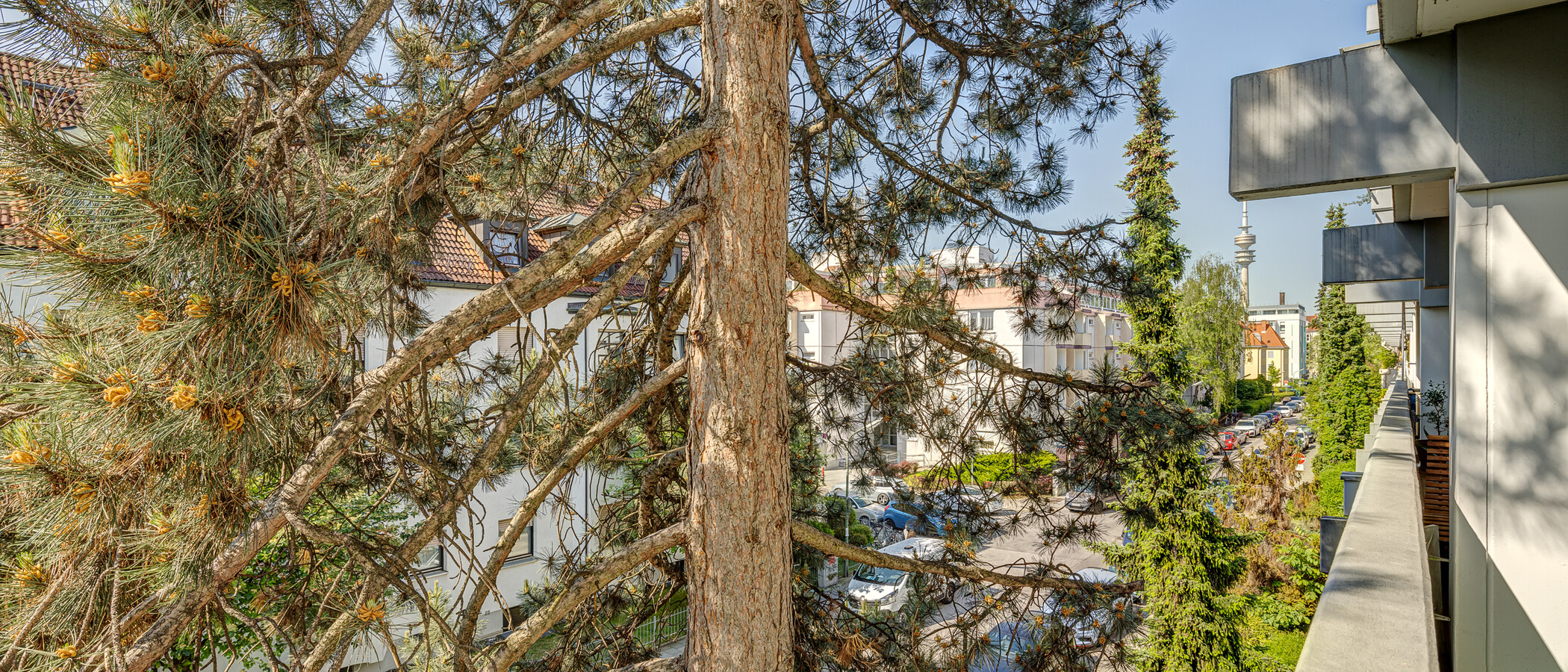 マンション München Milbertshofen 02 物件からの眺め 6061