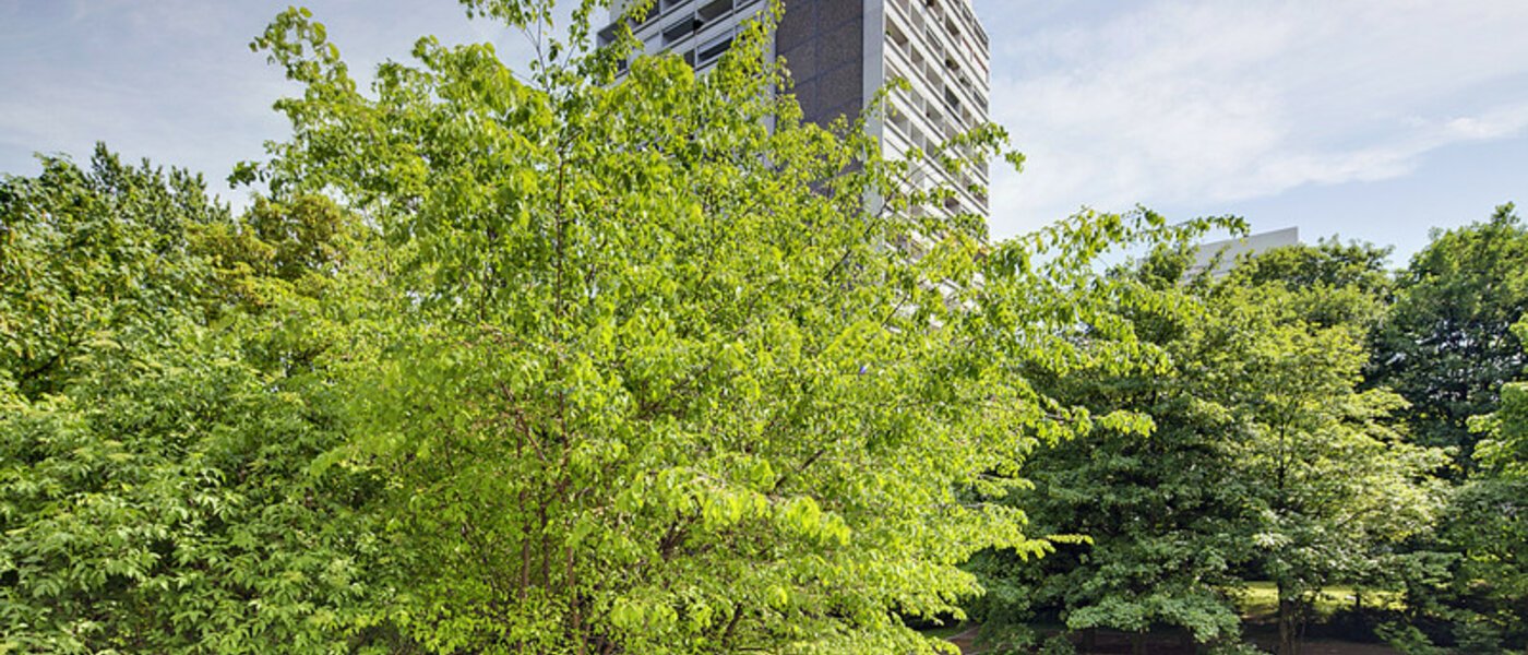 マンション München Arabellapark 01 物件からの眺め 6126