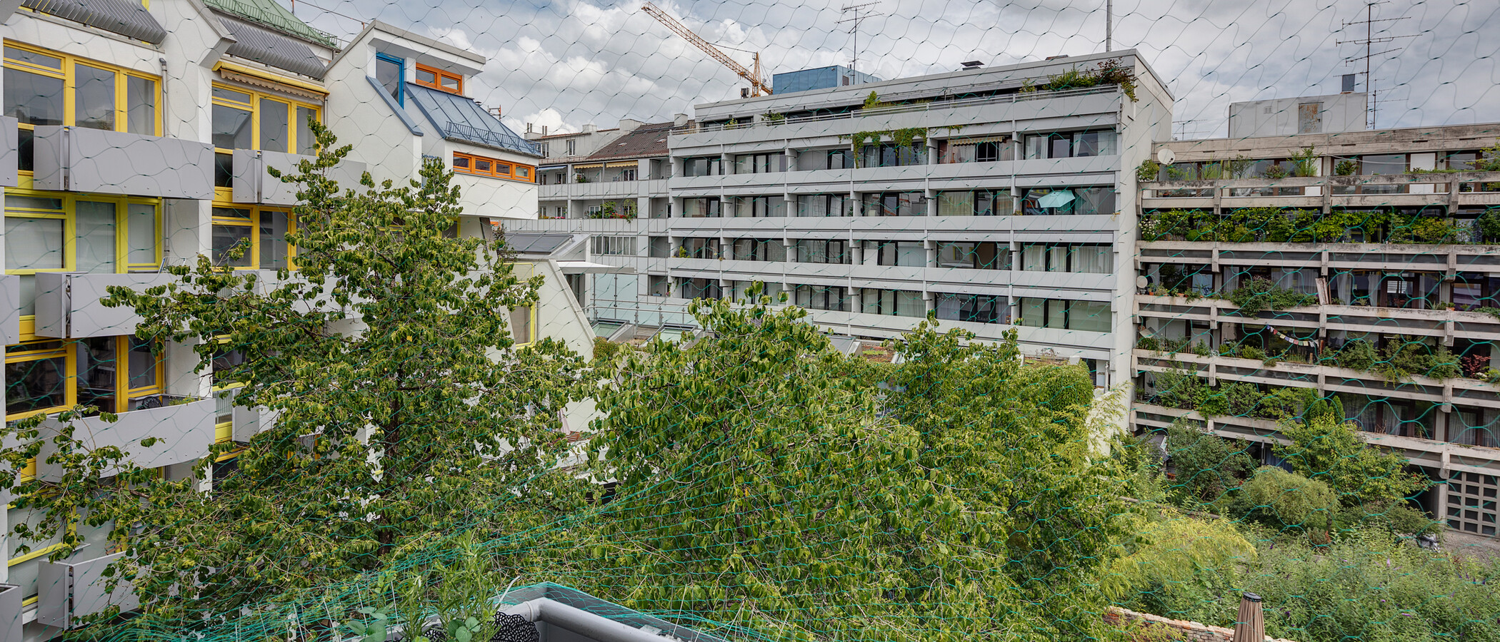 マンション München Maxvorstadt - Amalienpassage 02 物件からの眺め 6136