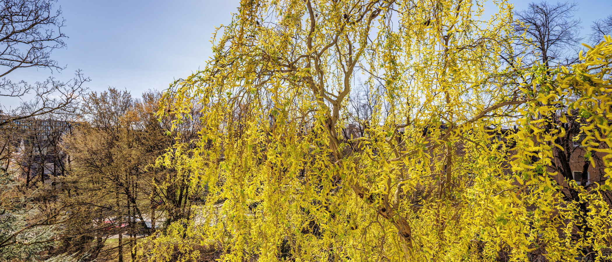 マンション München Bogenhausen 03 物件からの眺め 6213