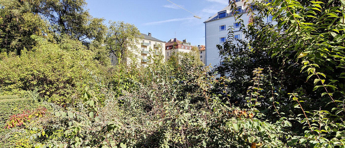 マンション München Maxvorstadt - Universitätsviertel 02 物件からの眺め 6407