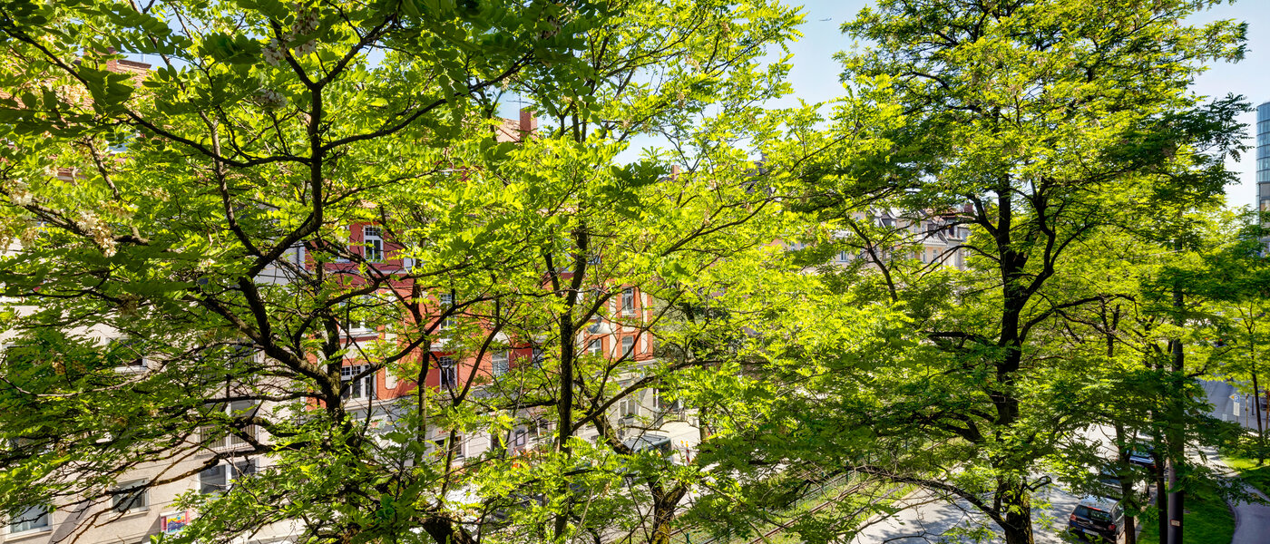 マンション München Neuhausen 01 物件からの眺め 6444