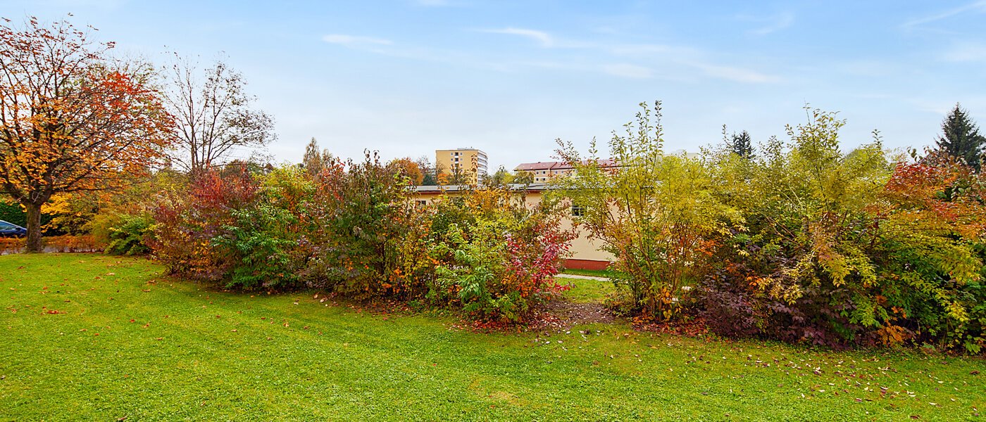 マンション Planegg 01 物件からの眺め 6451