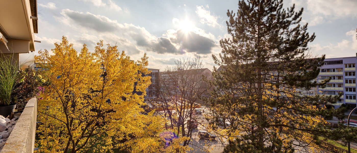 マンション München Schwabing 02 物件からの眺め 7050