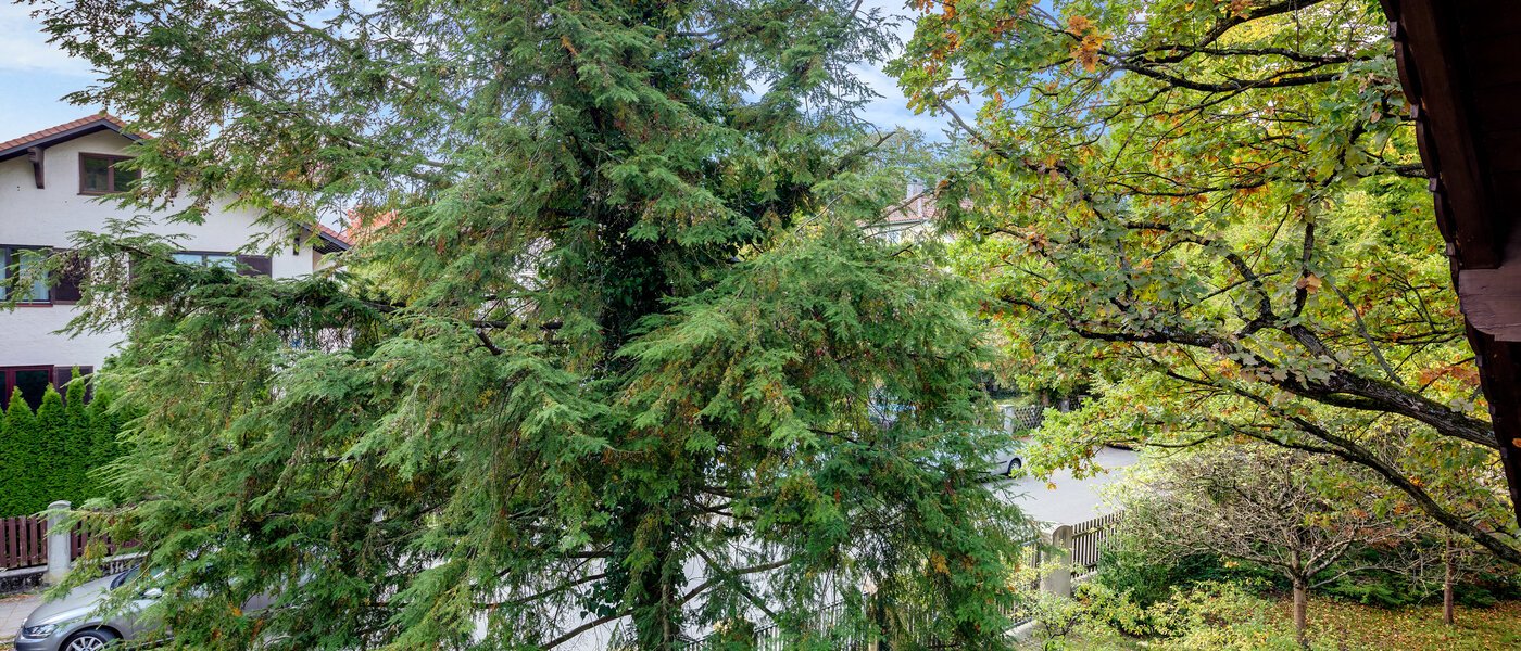 マンション München Pasing 03 物件からの眺め 7263