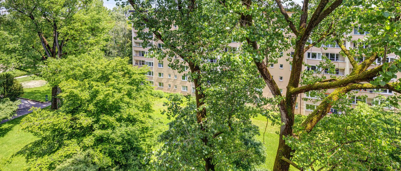 マンション München Bogenhausen 03 物件からの眺め 7308