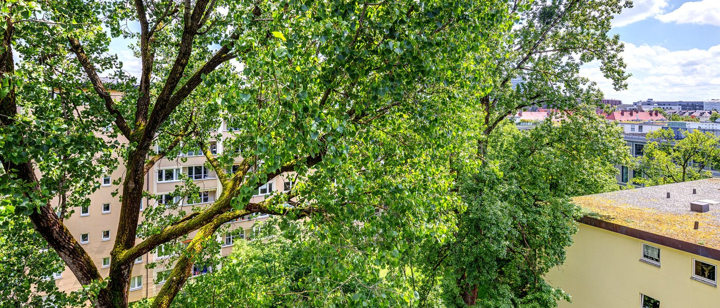 マンション München Bogenhausen 04 物件からの眺め 7308