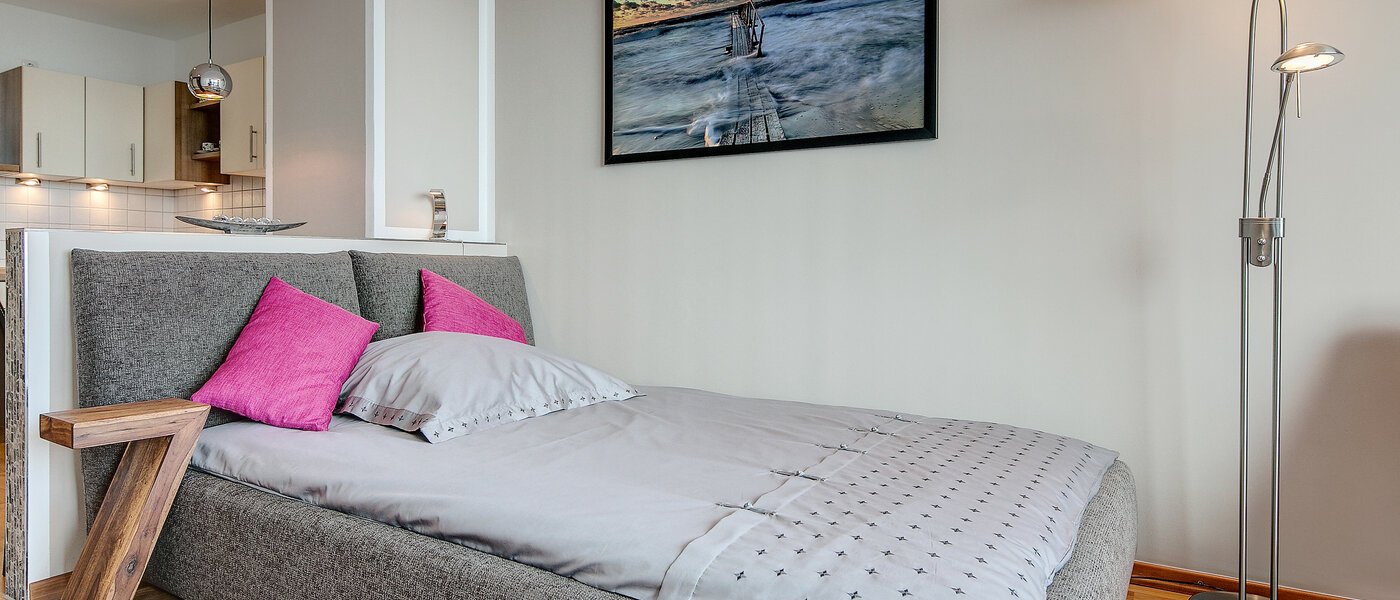 申し訳ございません。こちらの物件はすでに貸し出されました。