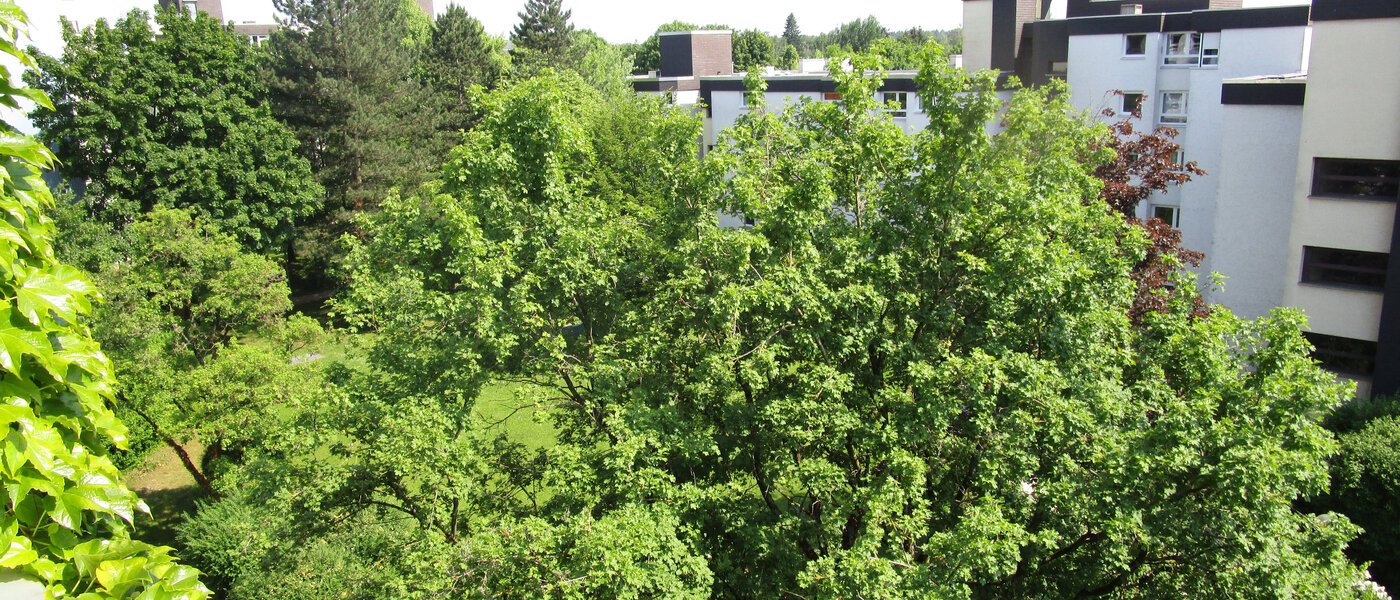 マンション München Hadern 01 物件からの眺め 7666