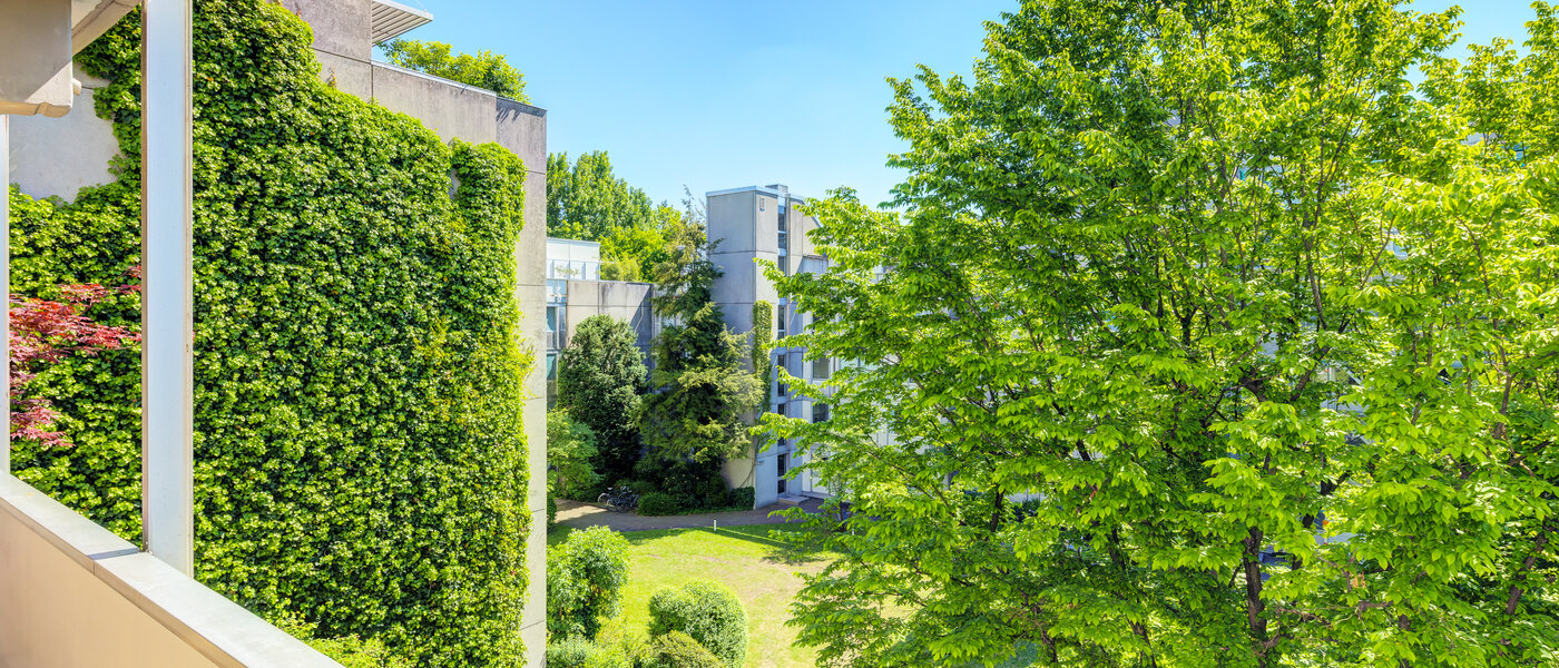 マンション München Schwabing-Nord (zw. Leopoldstraße & Englischen Garten) 01 物件からの眺め 7670