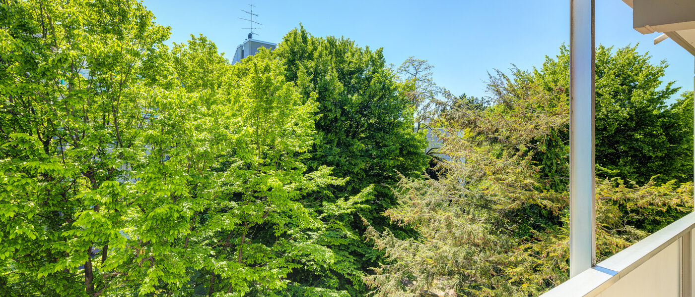 マンション München Schwabing-Nord (zw. Leopoldstraße & Englischen Garten) 02 物件からの眺め 7670