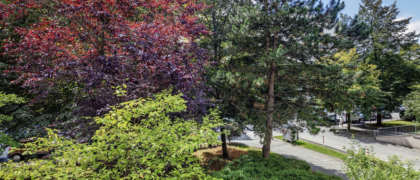 マンション München Haidhausen 02 物件からの眺め 7905