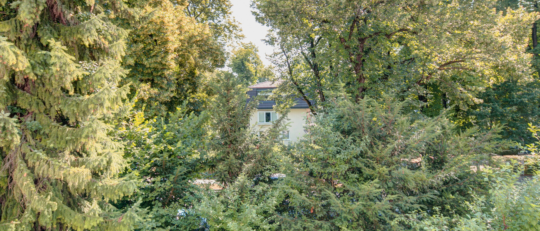 マンション München Nymphenburg 05 物件からの眺め 7938