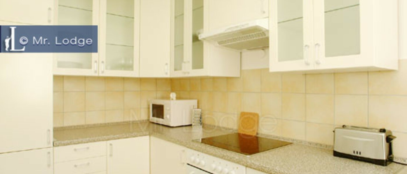 テラスハウス角住宅 Freising 02 キッチン 8