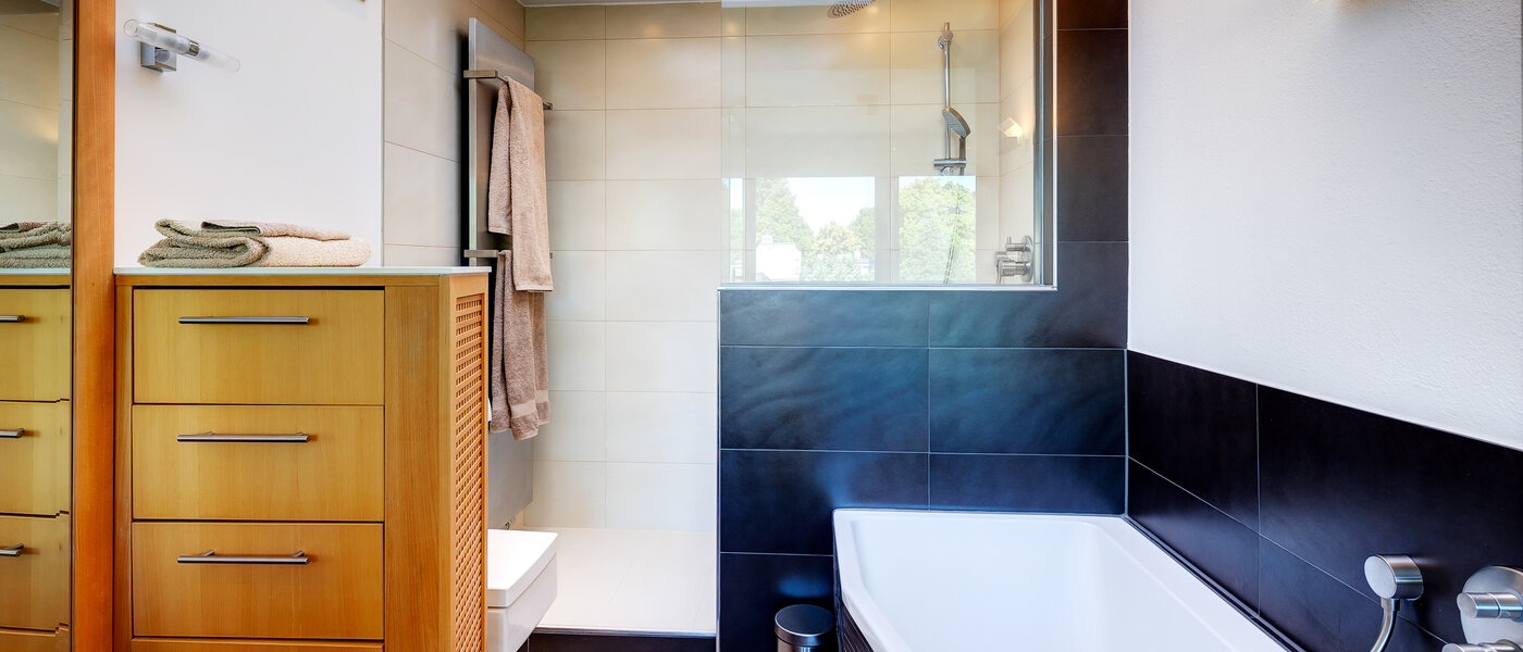 アティック・フラット（屋根裏） München Menterschwaige 02 浴室 8181