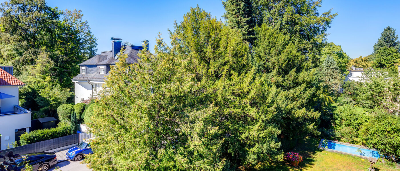 アティック・フラット（屋根裏） München Menterschwaige 01 物件からの眺め 8181