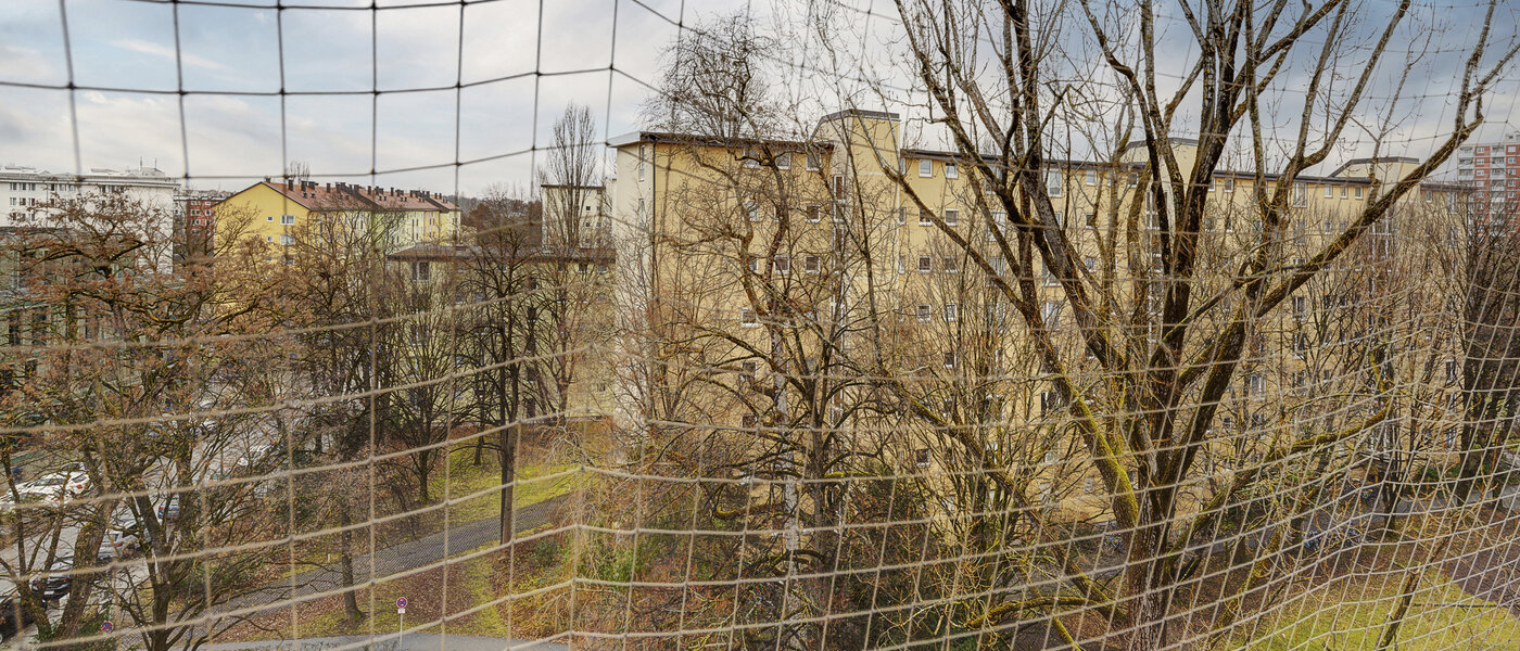 マンション München Bogenhausen 02 物件からの眺め 8368