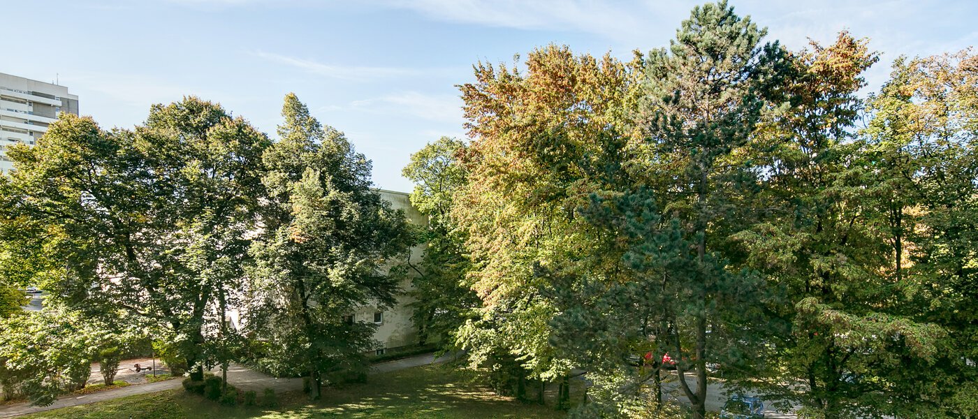 マンション München Englschalking 01 物件からの眺め 8399