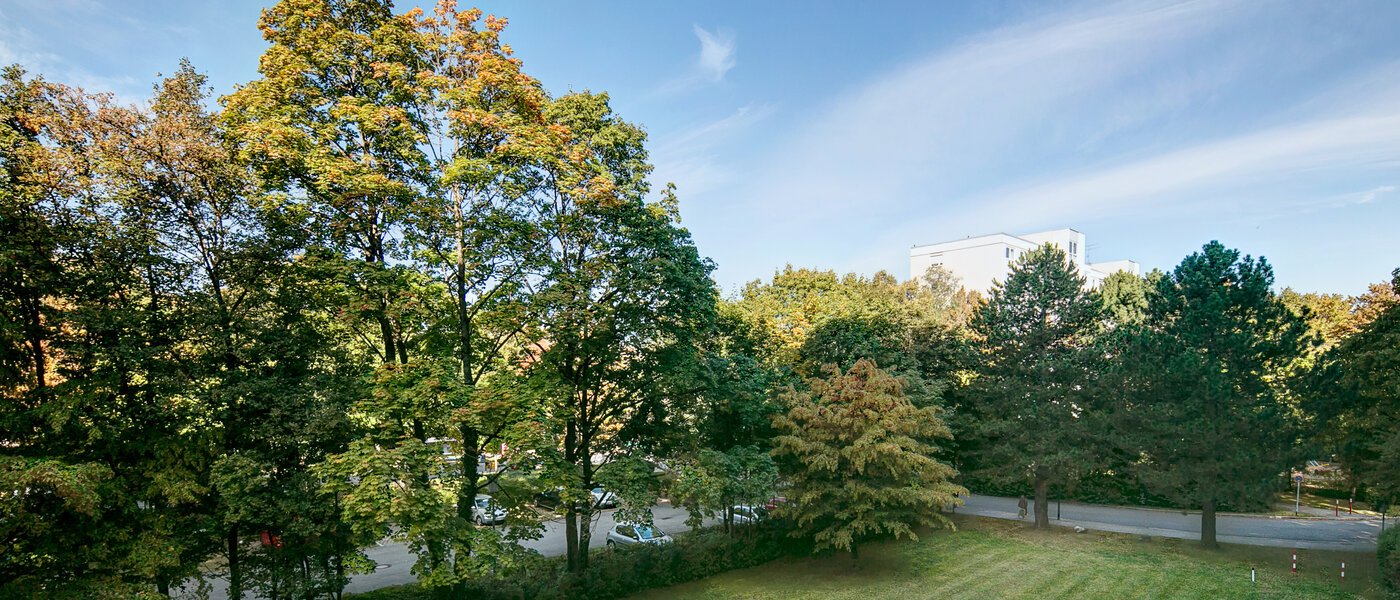 マンション München Englschalking 02 物件からの眺め 8399