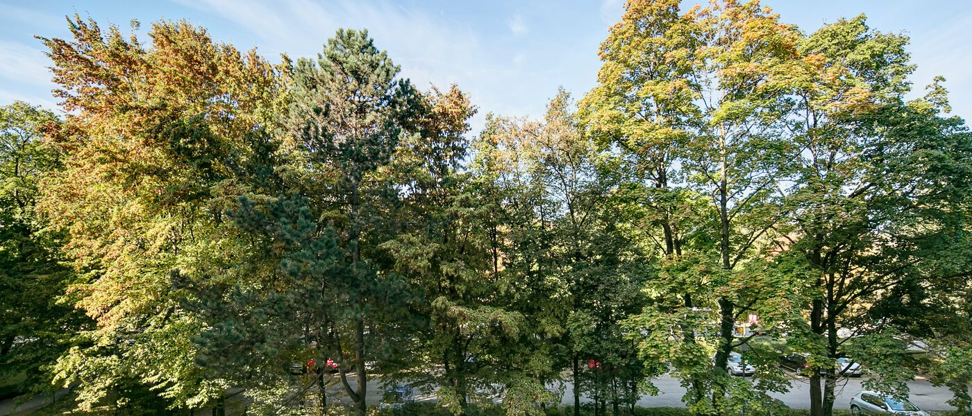 マンション München Englschalking 03 物件からの眺め 8399