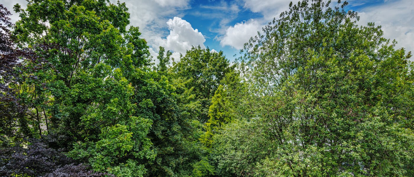 マンション München Ramersdorf 02 物件からの眺め 8588